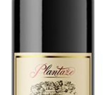 CABERNET PLAZANTE