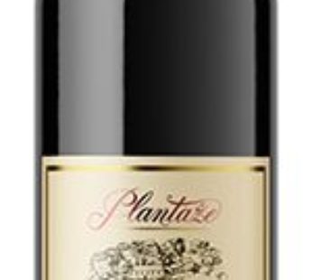 MERLOT PLAZANTE